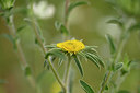 BUITEN BEELD Foto: 326484