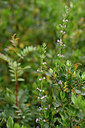 BUITEN BEELD Foto: 326488
