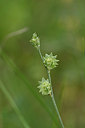 BUITEN BEELD Foto: 326492