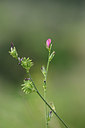 BUITEN BEELD Foto: 326493