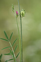 BUITEN BEELD Foto: 326494