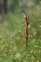 BUITEN BEELD Foto: 326500