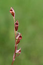 BUITEN BEELD Foto: 326502