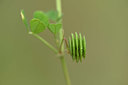 BUITEN BEELD Foto: 326511