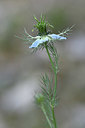BUITEN BEELD Foto: 326520
