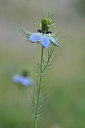 BUITEN BEELD Foto: 326522