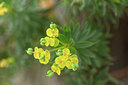 BUITEN BEELD Foto: 326527