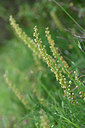 BUITEN BEELD Foto: 326532