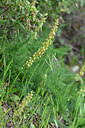 BUITEN BEELD Foto: 326535