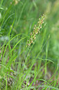 BUITEN BEELD Foto: 326536