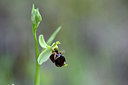 BUITEN BEELD Foto: 326540