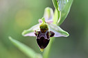 BUITEN BEELD Foto: 326545