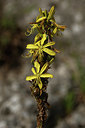 BUITEN BEELD Foto: 326553