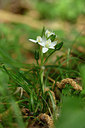 BUITEN BEELD Foto: 326556