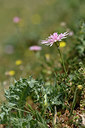 BUITEN BEELD Foto: 326557
