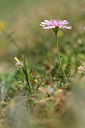 BUITEN BEELD Foto: 326560