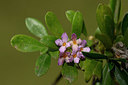 BUITEN BEELD Foto: 326562