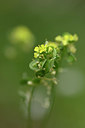 BUITEN BEELD Foto: 326567