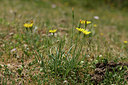 BUITEN BEELD Foto: 326568