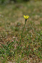 BUITEN BEELD Foto: 326569