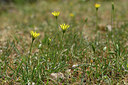 BUITEN BEELD Foto: 326570