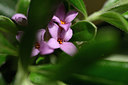 BUITEN BEELD Foto: 326574