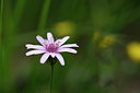 BUITEN BEELD Foto: 326576