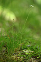 BUITEN BEELD Foto: 326584
