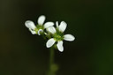 BUITEN BEELD Foto: 326585