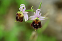 BUITEN BEELD Foto: 326586