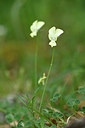 BUITEN BEELD Foto: 326589