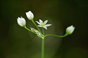 BUITEN BEELD Foto: 326605