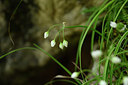 BUITEN BEELD Foto: 326606