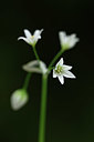 BUITEN BEELD Foto: 326607