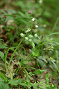 BUITEN BEELD Foto: 326609