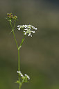 BUITEN BEELD Foto: 326616