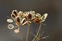 BUITEN BEELD Foto: 326619