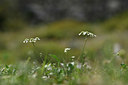BUITEN BEELD Foto: 326631