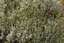 BUITEN BEELD Foto: 326636
