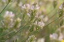 BUITEN BEELD Foto: 326645