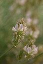 BUITEN BEELD Foto: 326646