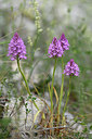BUITEN BEELD Foto: 326647