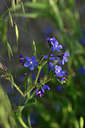 BUITEN BEELD Foto: 326657