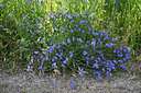 BUITEN BEELD Foto: 326658