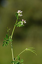 BUITEN BEELD Foto: 326659