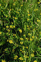 BUITEN BEELD Foto: 326668