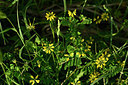 BUITEN BEELD Foto: 326669