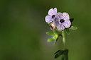 BUITEN BEELD Foto: 326670