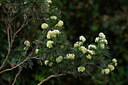 BUITEN BEELD Foto: 326674