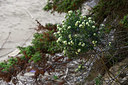BUITEN BEELD Foto: 326675